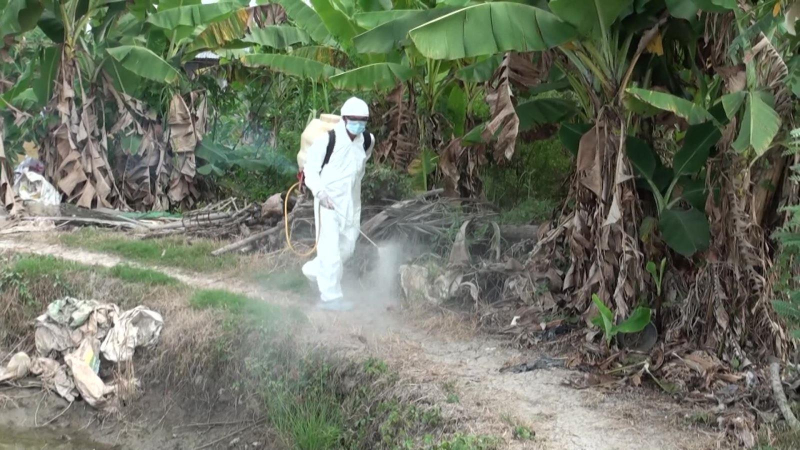 Phòng chống lây nhiễm cúm gia cầm sang người