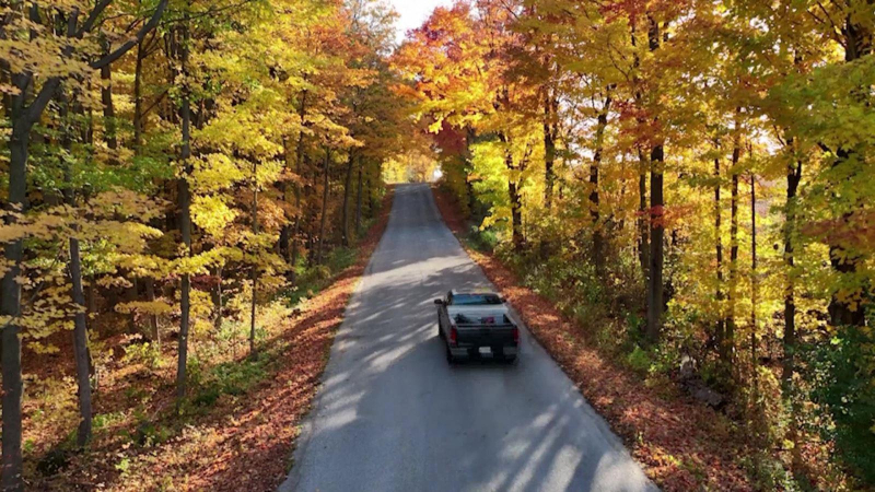 Sắc thu vàng rực rỡ ở Canada