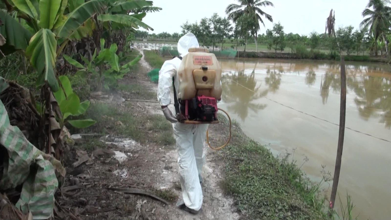 Khuyến cáo phòng lây nhiễm cúm gia cầm