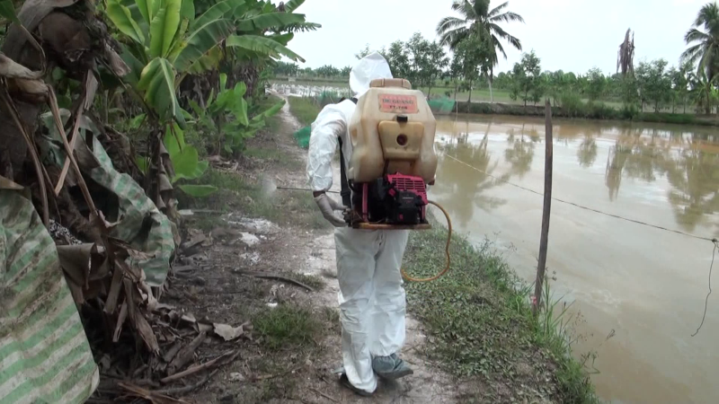 Khẩn cấp phòng, chống cúm gia cầm lây sang người