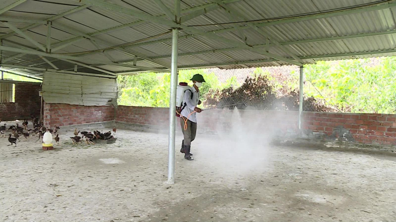 Việt Nam xuất hiện ca cúm A(H5) trên người