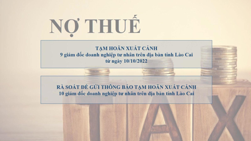 Đề nghị tạm hoãn xuất cảnh nhiều giám đốc doanh nghiệp nợ thuế
