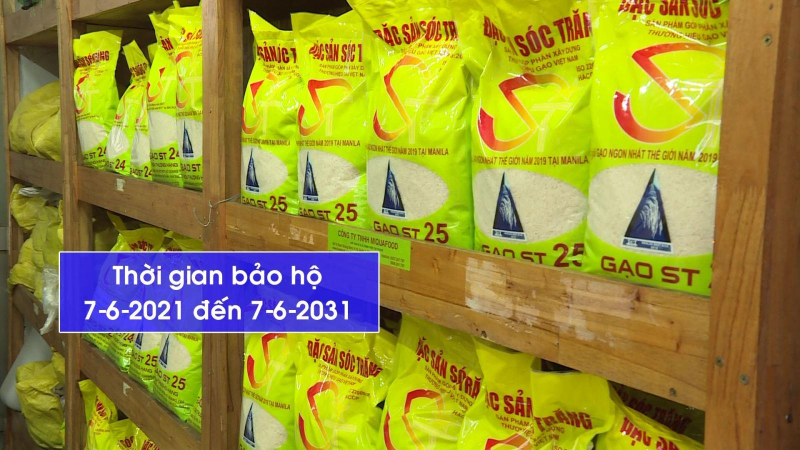 Gạo ST 24, ST25 được bảo hộ tại Úc