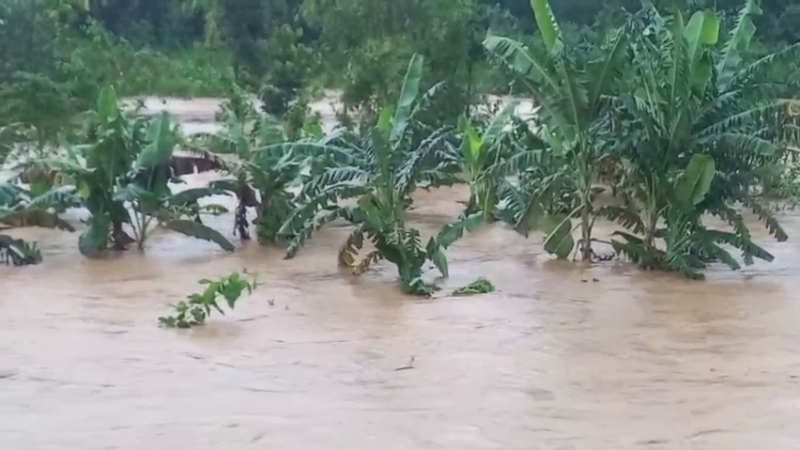 Tin cảnh b&aacute;o mưa lớn khu vực Quảng Ng&atilde;i