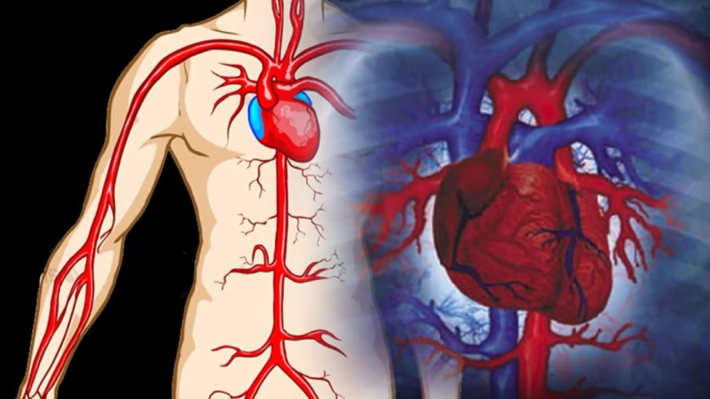 Phát hiện nhóm máu mới