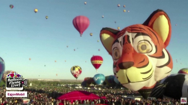 Lễ hội khinh khí cầu quốc tế