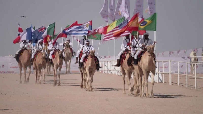 Một “World Cup” khác lạ ở Qatar