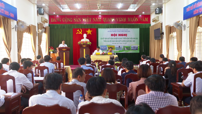 Triển khai kế hoạch sản xuất vụ Đ&ocirc;ng xu&acirc;n 2022 - 2023