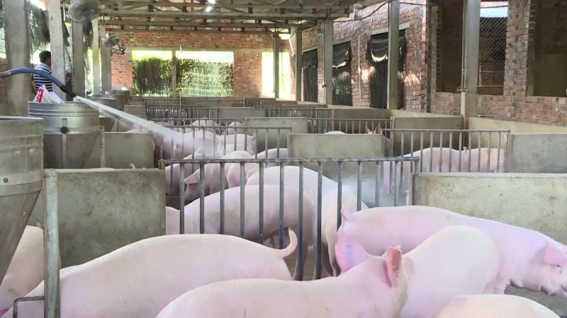 Giảm nghèo ở miền núi Quảng Ngãi