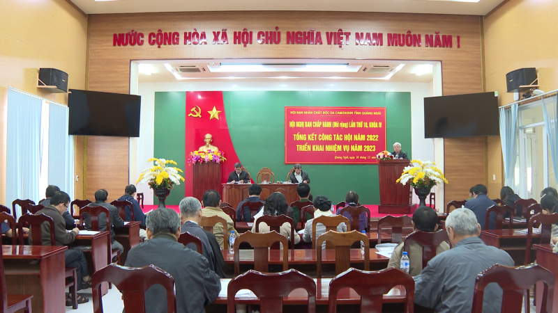 Tổng kết công tác hội nạn nhân chất độc da cam/Dioxin tỉnh