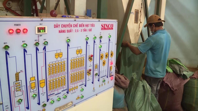 Xuất khẩu gia vị đạt 1,5 tỷ USD