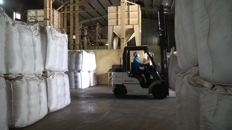 Thúc đẩy xuất khẩu hồ tiêu theo EVFTA