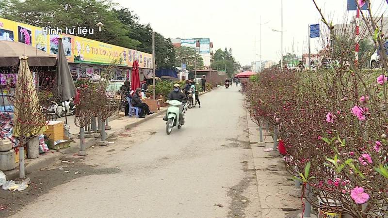 91 điểm chợ hoa xuân phục vụ Tết ở Hà Nội