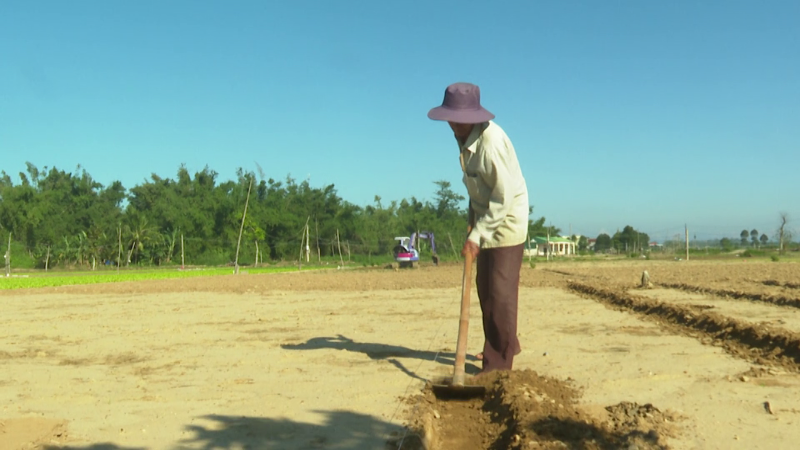 N&ocirc;ng d&acirc;n chuẩn bị xuống giống vụ rau m&agrave;u tết