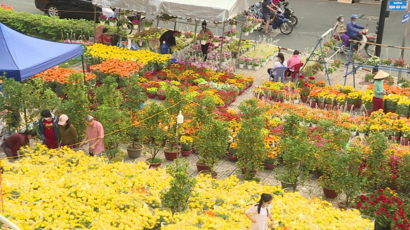 Hoa kiểng 3 miền đón xuân phương Nam