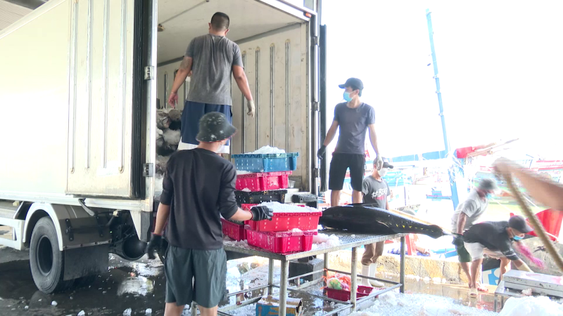 Cá ngừ đạt kim ngạch xuất khẩu 1 tỷ USD