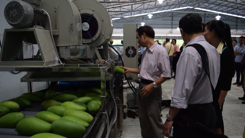 GDP ngành nông nghiệp cao nhất 3 năm