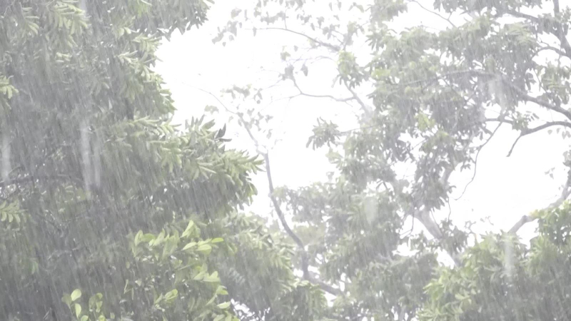 Cảnh báo mưa lớn ở Trung Bộ và phía Đông Tây Nguyên