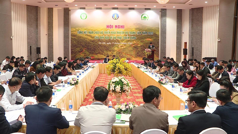 Thu hơn 3.700 tỷ đồng tiền dịch vụ m&ocirc;i trường rừng năm 2022