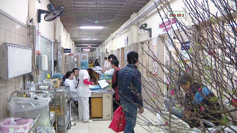 Cảnh báo ngộ độc thực phẩm có chứa độc tố tự nhiên