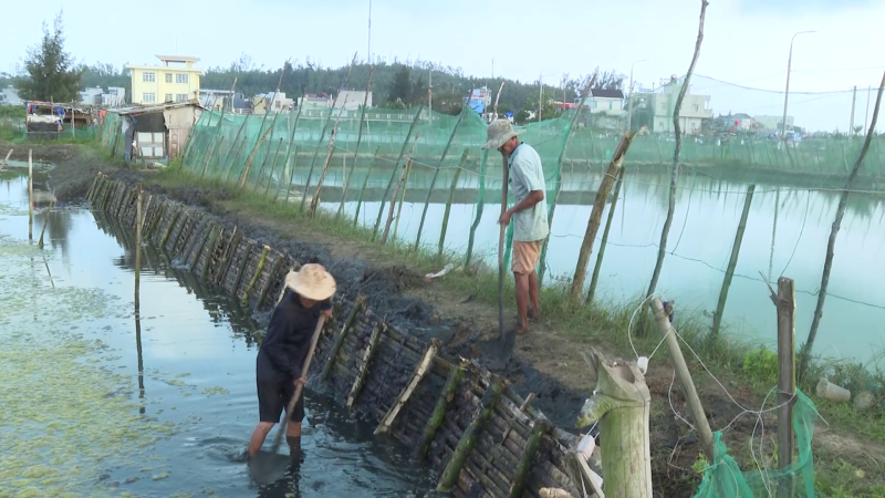 Nuôi thủy sản kết hợp ở vùng cửa biển Sa Kỳ