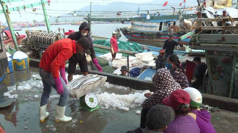 Ngư dân trúng lộc biển đầu năm