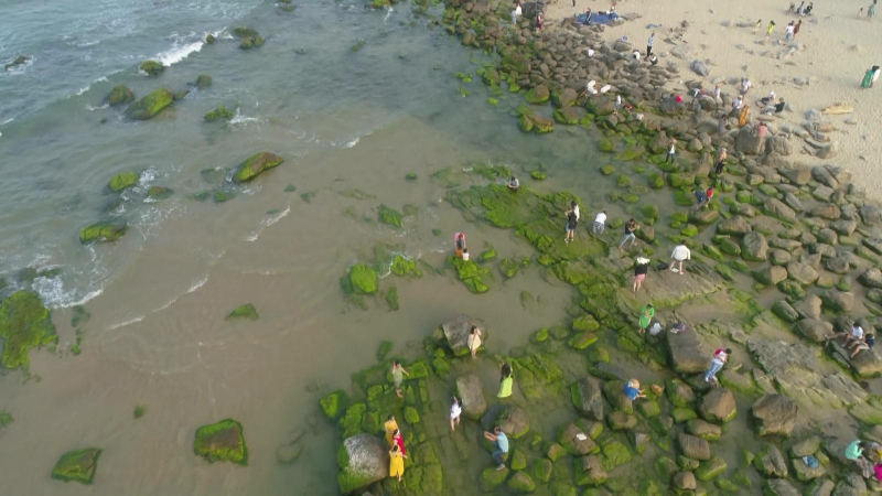 Ghềnh đá Nam ô mùa rêu xanh