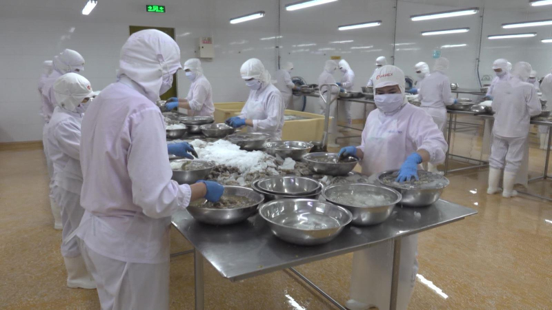 Thêm nhiều công ty được xuất khẩu thủy sản sang Trung Quốc