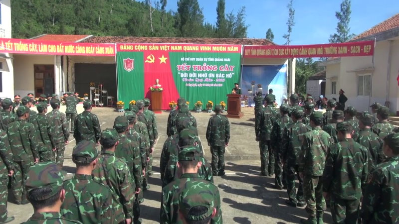 Phát động tết trồng cây tại đảo Lý Sơn