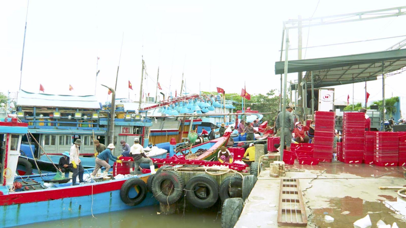 Niềm vui mùa biển mới