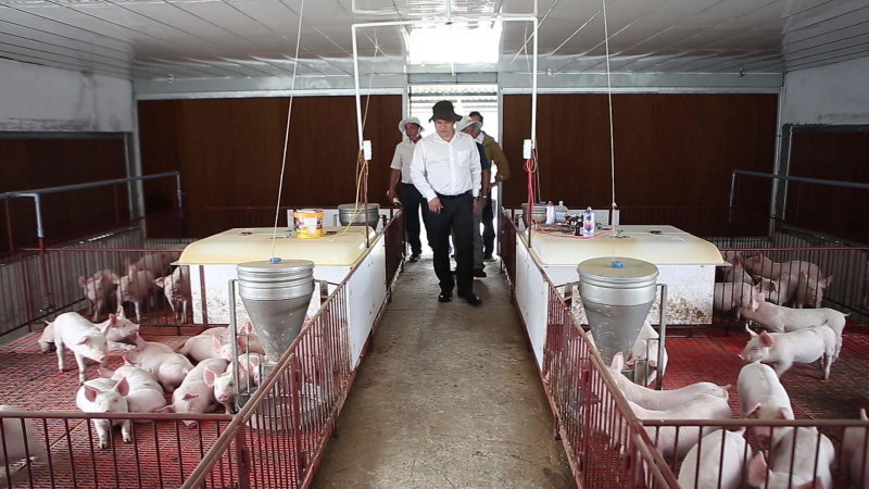 Ph&oacute; Chủ tịch UBND tỉnh Trần Phước Hiền kiểm tra trang trại chăn nu&ocirc;i ở huy&ecirc;̣n Tư Nghĩa