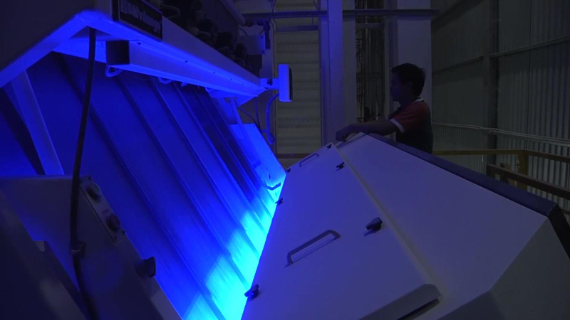 Cơ hội cho gạo Việt Nam vào Indonesia