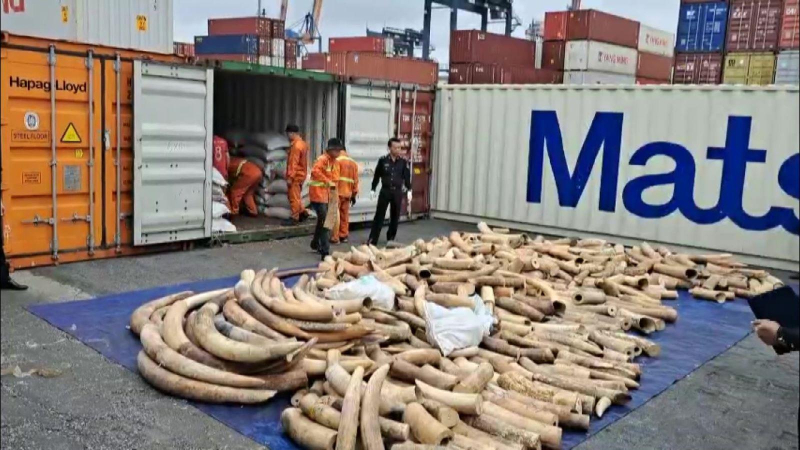 Việt Nam vẫn là nơi trung chuyển hàng cấm