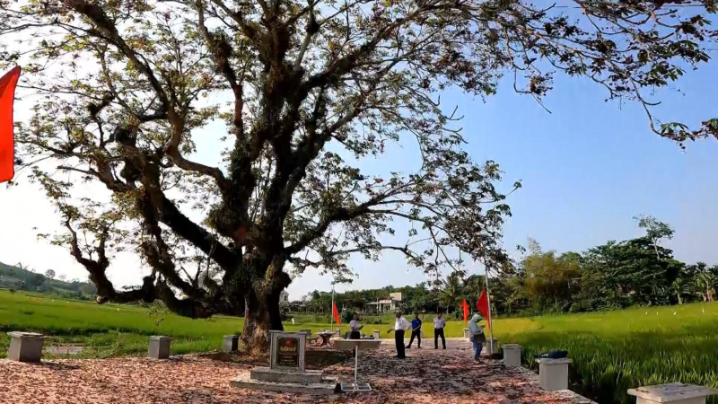 Tuổi trẻ Quảng Ngãi chung tay vì cuộc sống cộng đồng