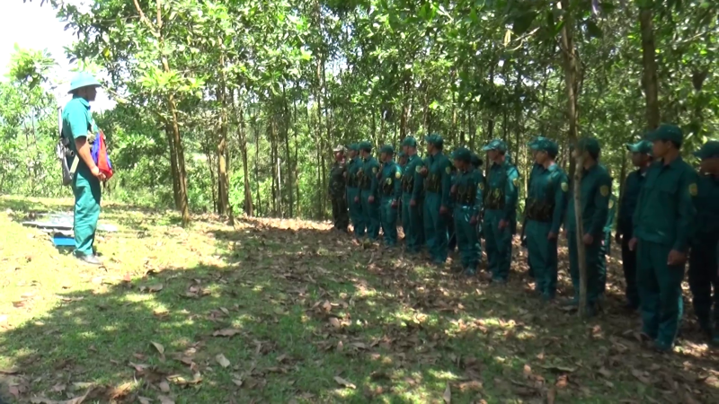 Nâng cao chất lượng huấn luyện lực lượng dân quân tự vệ