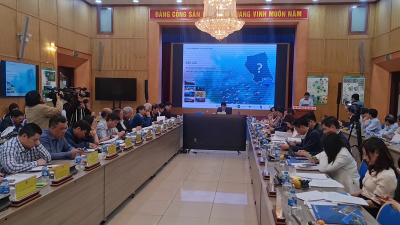 Thẩm định Quy hoạch tỉnh Quảng Ngãi thời kỳ 2021 - 2030, tầm nhìn đến năm 2050