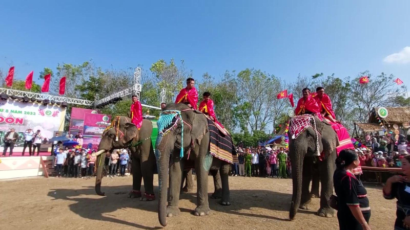 Đặc sắc Hội voi Buôn Đôn tại Đắk Lắk