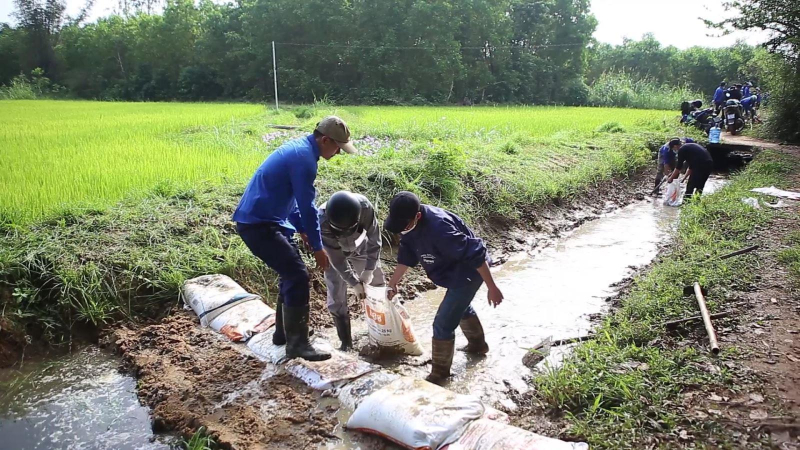 Tuổi trẻ Quảng Ngãi hưởng ứng tháng thanh niên