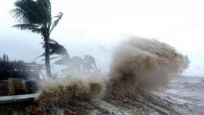 Chủ động ứng phó gió mạnh trên biển