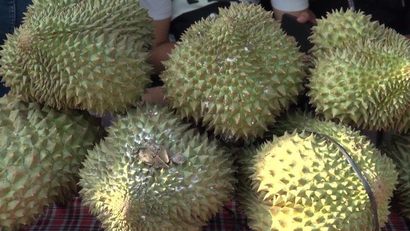 Trung Quốc phê duyệt thêm nhiều mã số vùng trồng sầu riêng