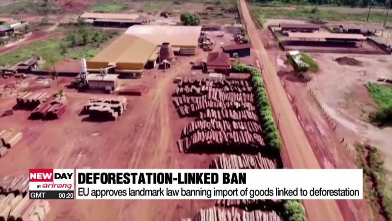 Châu Âu thông qua luật chống phá rừng