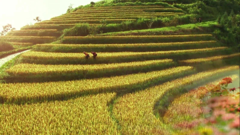 Việt Nam là một trong 10 điểm đến tuyệt vời nhất của khu vực châu Á