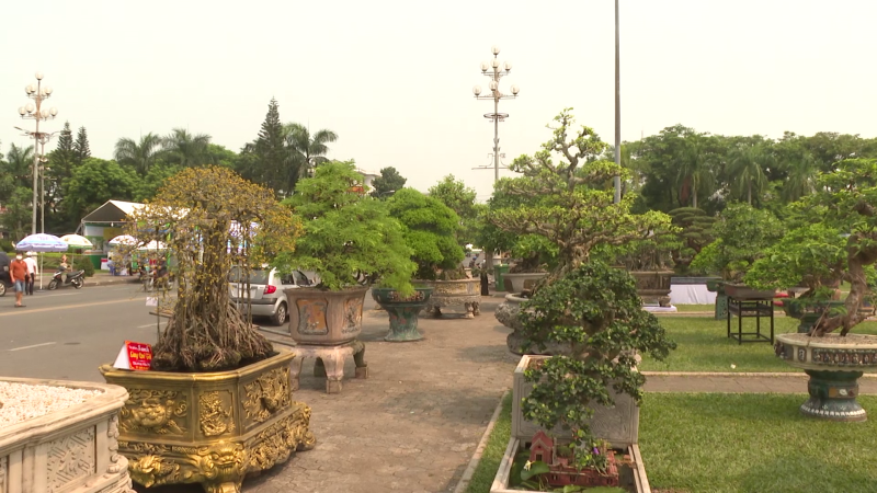 Dấu ấn triển l&atilde;m sinh vật cảnh Quảng Ng&atilde;i năm 2023