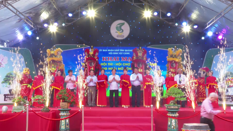 Triển l&atilde;m sinh vật cảnh tỉnh Quảng Ng&atilde;i mở rộng