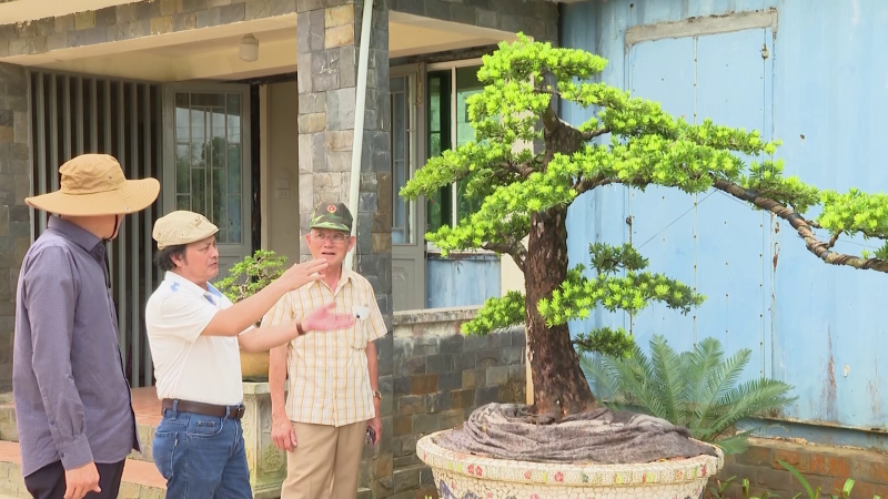 Ấn tượng sinh vật cảnh Quảng Ng&atilde;i