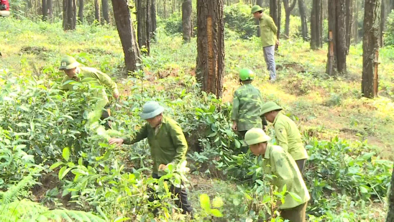 Ph&ograve;ng chống ch&aacute;y rừng ở Khu bảo tồn Thi&ecirc;n nhi&ecirc;n Kẻ Gỗ