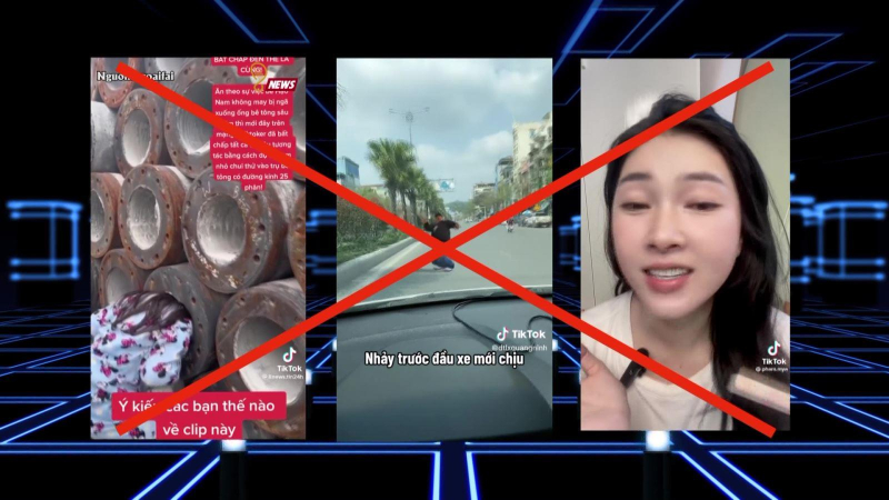 Liệu Tiktok có bị cấm tại Việt Nam?