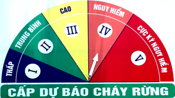 Chủ động thực hiện các biện pháp phòng cháy và chữa cháy rừng