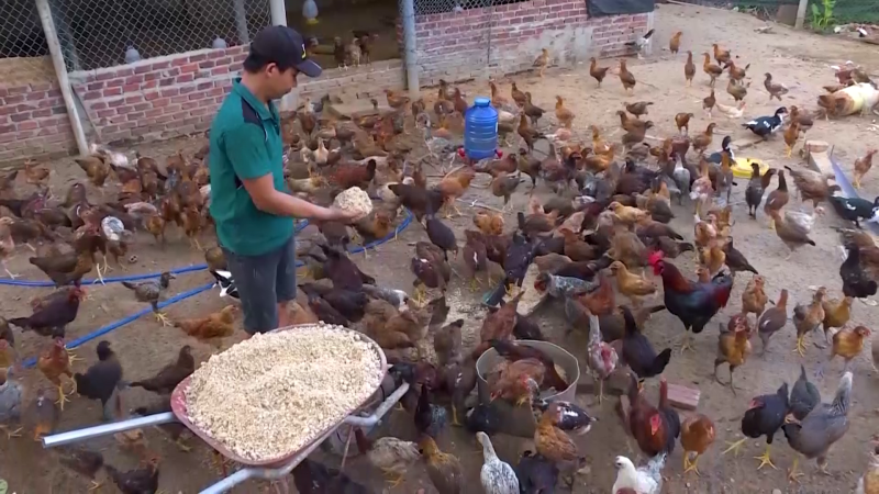 145 tỷ đồng hỗ trợ hợp tác xã, doanh nghiệp miền núi