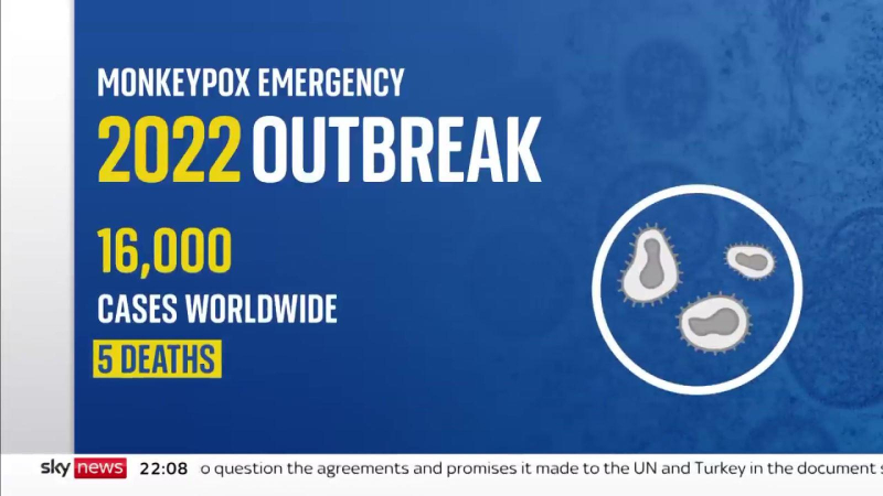 Đậu mùa khỉ không còn là tình trạng khẩn cấp toàn cầu
